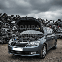 SKODA FABIA 1.0 TSI SE Automatic remanufactured Engine 2021 - DKLD Model
